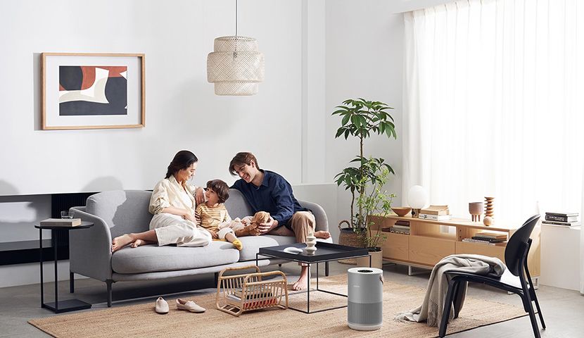 Air Purifier Battery
